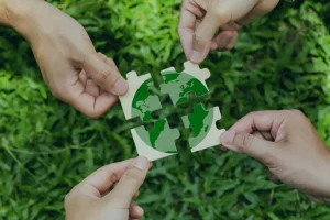 découvrez les meilleurs matériaux et produits écologiques pour réussir votre projet vert, alliant durabilité et respect de l'environnement.