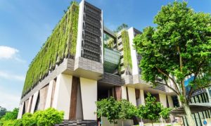 découvrez comment la rénovation durable peut contribuer efficacement à la lutte contre le changement climatique en réduisant l'empreinte carbone et en favorisant des pratiques respectueuses de l'environnement.